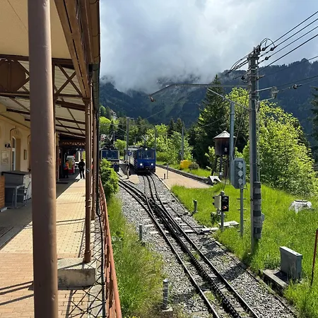 Buffet De La Gare